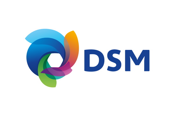 DSM